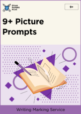buy 9+ Picture writing prompts